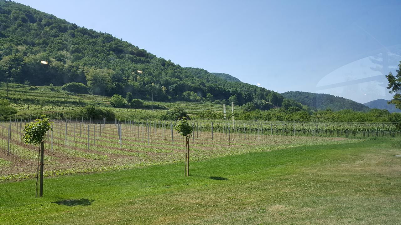 Gasthof Zur Wachau Hofarnsdorf Exterior photo